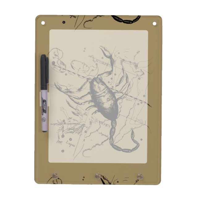Scorpio Constellation Hevelius 1690 Engraving Dry Erase Board (Front)