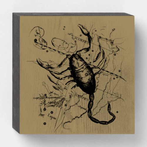 Scorpio Constellation Hevelius 1690 Engraving Wooden Box Sign