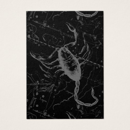 Scorpio Constellation Hevelius 1690 on Black