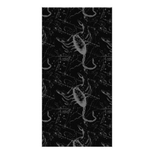 Scorpio Constellation Hevelius 1690 on Black Card