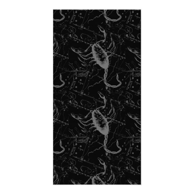 Scorpio Constellation Hevelius 1690 on Black Card (Front)