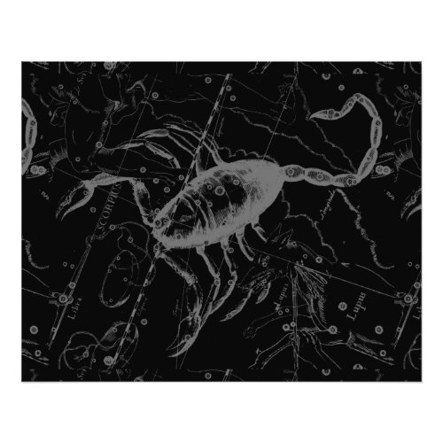 Scorpio Constellation Hevelius 1690 on Black Photo Print