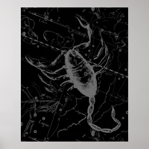 Scorpio Constellation Hevelius 1690 on Black Poster