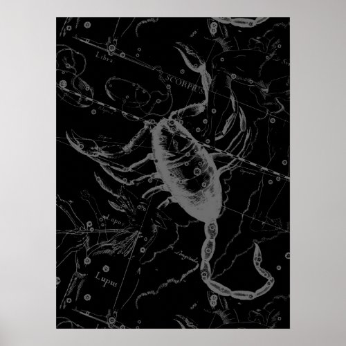 Scorpio Constellation Hevelius 1690 Vintage Black Poster