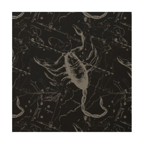 Scorpio Constellation Hevelius circa 1690 on Black Wood Wall Art