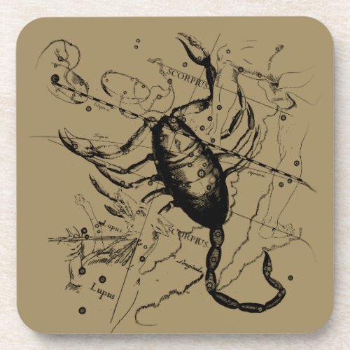 Scorpio Constellation Hevelius circa 1690 Vintage Coaster