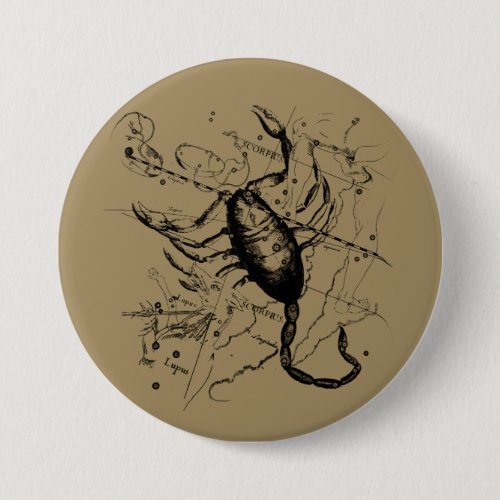 Scorpio Constellation Hevelius circa 1690 Vintage Pinback Button