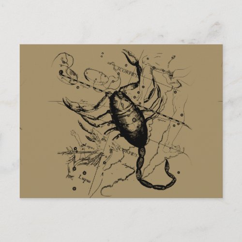 Scorpio Constellation Hevelius circa 1690 Vintage Postcard