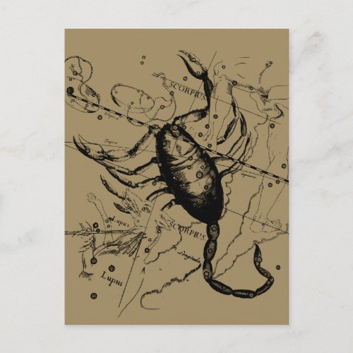 Scorpio Constellation Hevelius circa 1690 Vintage Postcard