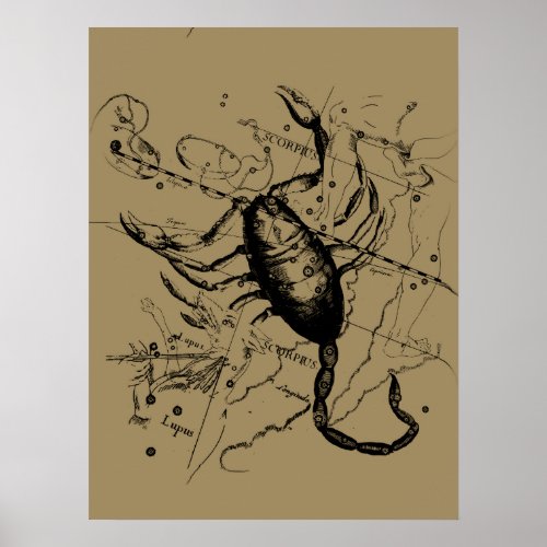 Scorpio Constellation Hevelius circa 1690 Vintage Poster