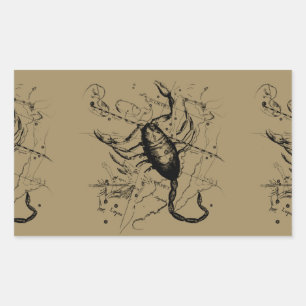 Scorpio Constellation Hevelius circa 1690 Vintage Rectangular Sticker