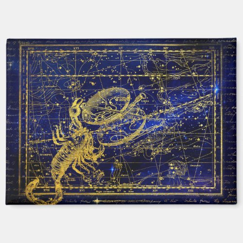 scorpio constellation magnet