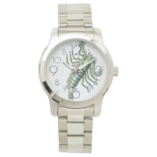 Scorpio Horoscope Watch