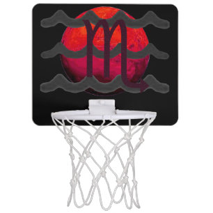 Scorpio  mini basketball hoop