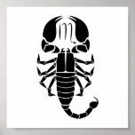 Scorpio Scorpion Astrology Zodiac Horoscope Poster at Zazzle