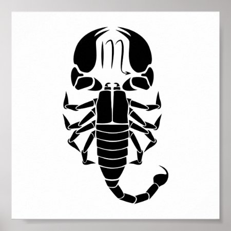 Scorpio Scorpion Astrology Zodiac Horoscope Poster