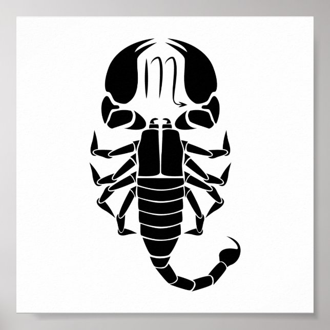 scorpio scorpion astrology zodiac horoscope poster (Front)