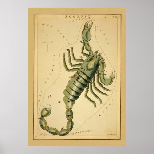Scorpio Scorpion Vintage Sign of Zodiac Image