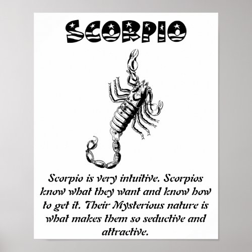 Scorpio Scorpion Zodiac Birth Sign Horoscope Art