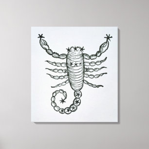 Scorpio (the Scorpion) an illustration from the 'P Canvas Print