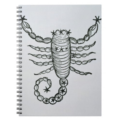 Scorpio the Scorpion an illustration from the P Notebook