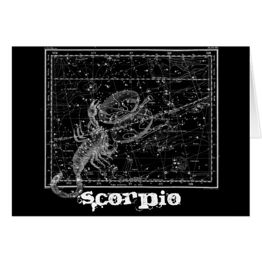Scorpio, the Scorpion Cards (Front Horizontal)