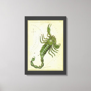 Scorpio, Vintage Constellation Urania's Mirror Canvas Print