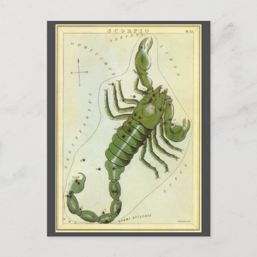 Scorpio Vintage Constellation Uranias Mirror Postcard