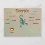Scorpio Zodiac Characteristics Postcard at Zazzle