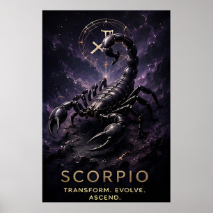 Scorpio Zodiac Scorpion Celestial Astrology Symbol Poster