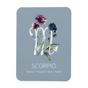 Scorpio Zodiac Star Sign Magnet