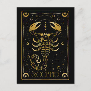 Scorpio zodiac symbol postcard