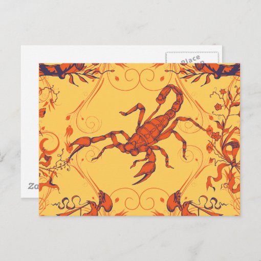 Scorpion 2 Scorpions Scorpio Insect Insects Postcard Zazzle