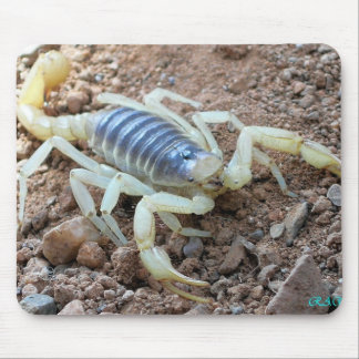 scorpion 343 mouse pad
