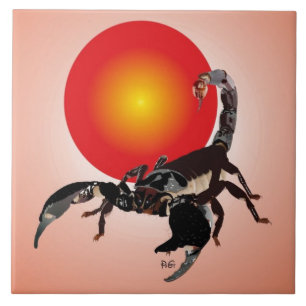 scorpion ceramics photo tile
