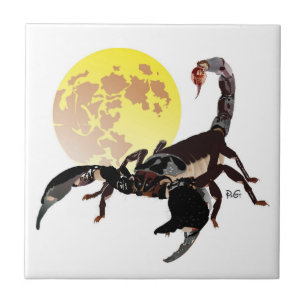 scorpion ceramics photo tile