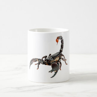 Scorpion. Coffee Mug