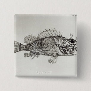 Scorpion Fish Button