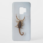 Scorpion Galaxy S9 Case<br><div class="desc">Shopping for cool new 2018 Samsung Scorpion Galaxy S9 case? Brown scorpion on white background. Ouch!</div>