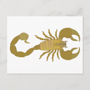 Scorpion Holiday Postcard