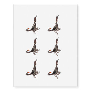 Scorpion image for Temporary Tattoos