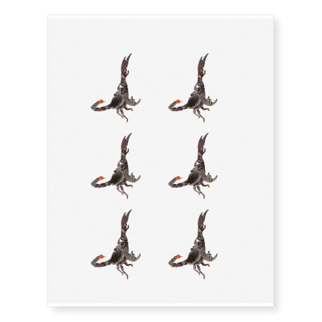 Scorpion image for Temporary Tattoos (Front)