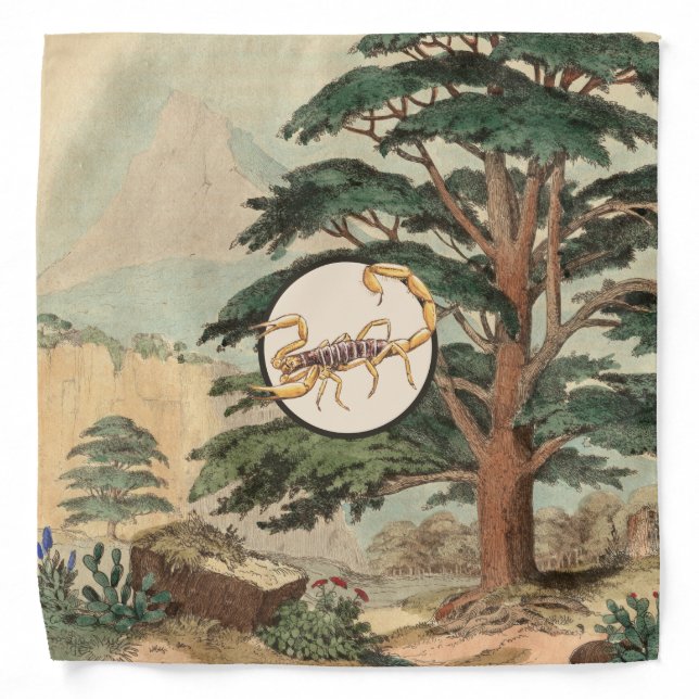 Scorpion In Natural Habitat Illustration Bandana (Front)