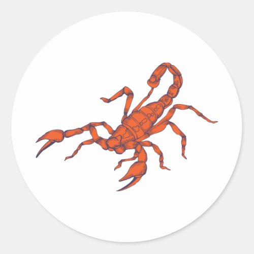 Scorpion  Insect Scorpio Scorpions Classic Round Sticker