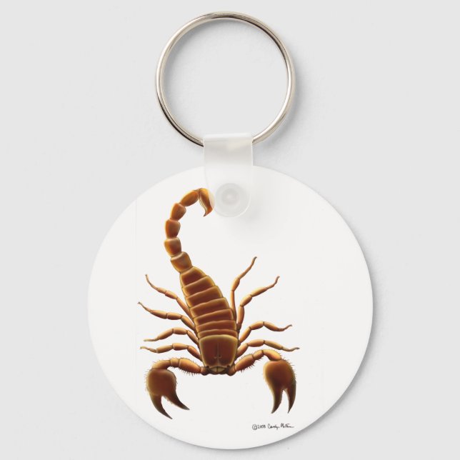 Scorpion Keychain (Front)