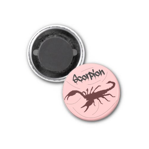 scorpion magnet