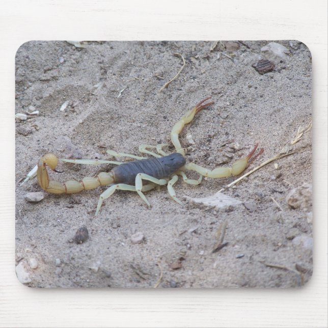 Scorpion Mouse Pad (Front)