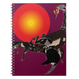 scorpion notebook