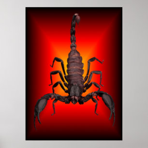 SCORPION OF WAR POSTER