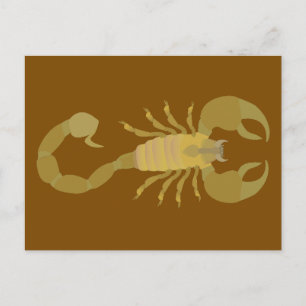 Scorpion Postcard